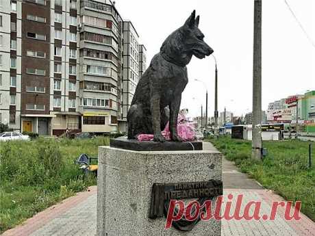 На данной фотографии памятник преданности из моего родного города Тольятти, посвященный собаке, которая около 11 лет ждала хозяина на центральном шоссе города. Хозяева, попали в автокатастрофу и погибли, а собака ждала их зимой и летом, бесконечно облаивая проезжающие авто, как у хозяина. Этот памятник символизирует настоящую самоотверженность, верность и преданность. Те качества, которые не часто встретишь в человеке. Делайте выводы.