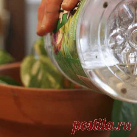 Не спешите сливать воду от макарон: отличные и вкусные секреты