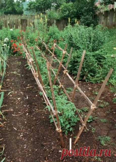 Three Garden Structures You Can Build - Vegetable Gardener