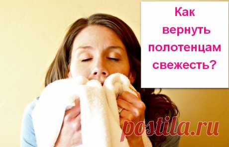 Что делать, если полотенца стали пахнуть сыростью: народный метод, который действительно работает