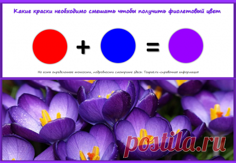 Какие краски необходимо смешать чтобы получить фиолетовый цвет - Tozpat.ru