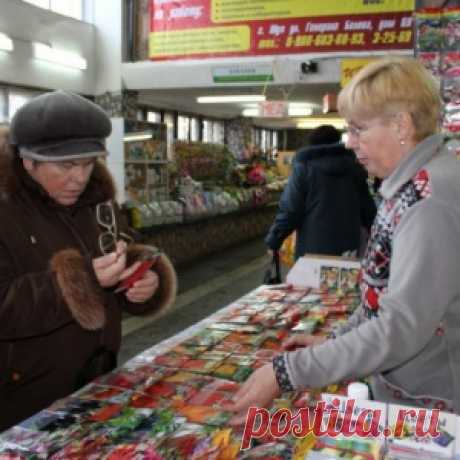 Семена на все времена: готовимся к дачному сезону