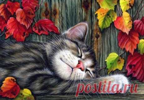 Очарование кошек на картинах Ирины Гармашовой