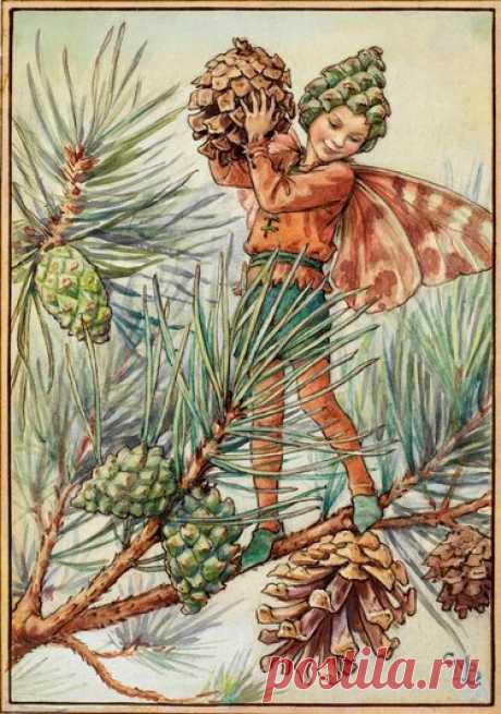 "The Pine Tree Fairy - Flower Fairies" — card of the user Надежда М. in Yandex.Collections