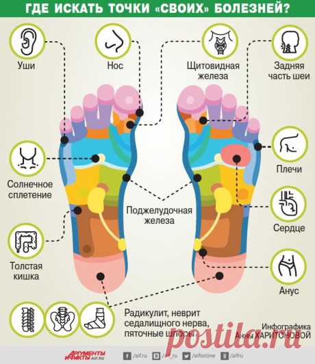 Где искать точки против болезней / Будьте здоровы