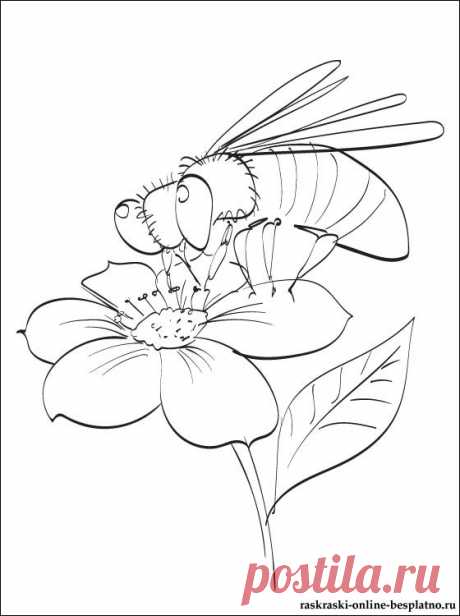 Рисунок раскраска Пчела на цветочке | Раскраски для детей