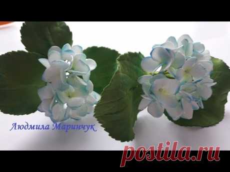 МК! Как сделать гортензию из фоамирана! As the flowers from the fameirana!