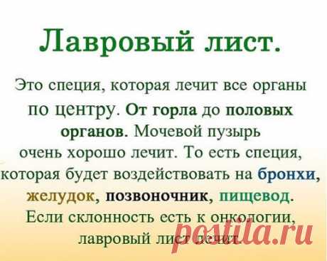 ЛАВРОВЫЙ ЛИСТ В ПОМОЩЬ  
Именно остеохондроз является причиной боли в спине в 80% случаев
Для тех, у кого застарелый остеохондроз, лучше любых мазей из аптеки помогают средства на основе лаврового листа.
Вот отличные рецепты:
1) Лавровое масло. Залить стаканом оливкового масла 1 ст. ложку мелко нарезанных лавровых листьев и настаивать 15 дней в теплом месте. Лучше всего втирать масло в больные места на ночь, а потом тепло укутываться.
2) Настой. Взять 1 ч. ложку измельченных листьев и залить