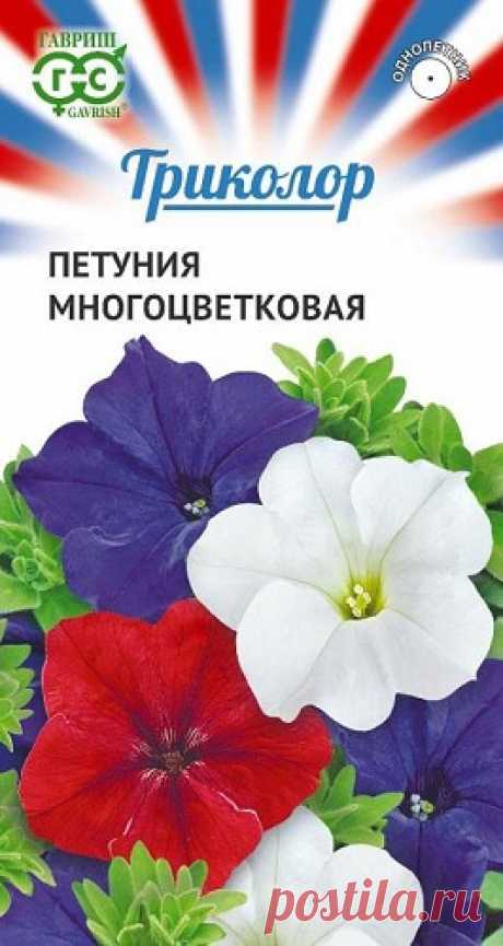 Петуния многоцветковая, смесь