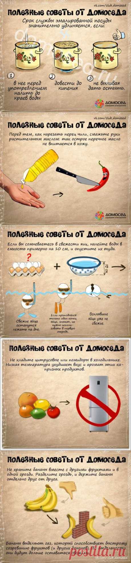 Полезные советы от домоседа