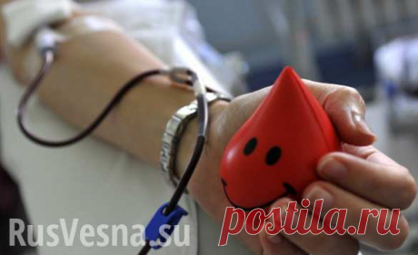 Яценюк разрешил геям, наркоманам и проституткам быть донорами крови | Русская весна