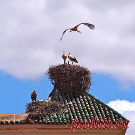 С Днём Семьи, Друзья! 
     Любви, Счастья, Здоровья 
         Вам и Вашим Семьям!
              Мира  и Благополучия!!!  ️️