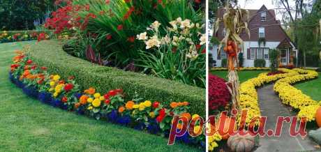 Оформление красивых цветочных композиций на даче | Ягодный сад, или прикладное садоводство в советах, вопросах и ответах Красивые клумбы из луковичных цветов: схема, как сделать, фото