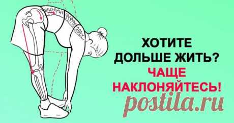 Хочешь жить дольше? Чаще наклоняйся! 

Поясничная мышца (the psoas muscle) — это самая глубокая мышца человеческого тела, влияющая на наш структурный баланс, мышечную интеграцию, гибкость, силу, диапазон движений, подвижность суставов и функционирование органов. 

«Мышца души» находится в теле вовсе не в груди, как можно предположить, а в области таза. Стрессы современной жизни закрепощают ее, порождая проблемы со здоровьем. 

Влияние образа жизни на здоровье 

В даосской ...