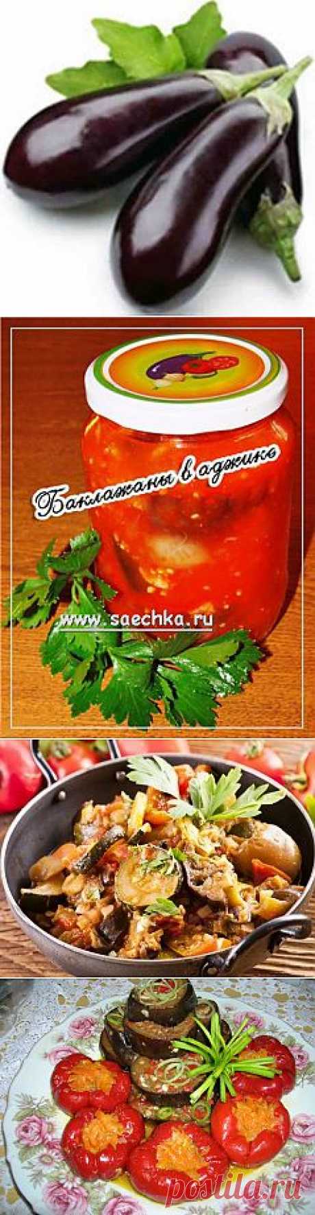 Баклажаны на зиму - 3 вкуснейших рецепта -