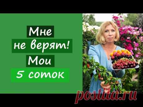 Мне не верят! Мои 5 соток