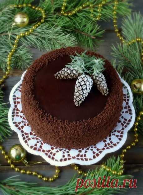 Шоколадный торт с курагой – Свежие Рецепты – кулинарный сайт