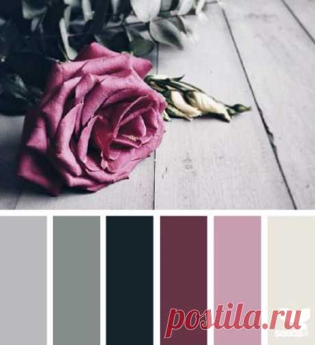 design seeds | flora tones | for all who ♥ color