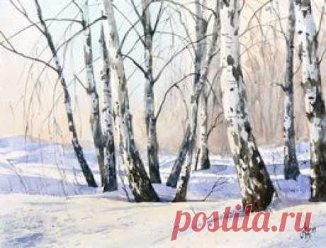 The birch-trees in winter by mashami on DeviantArt