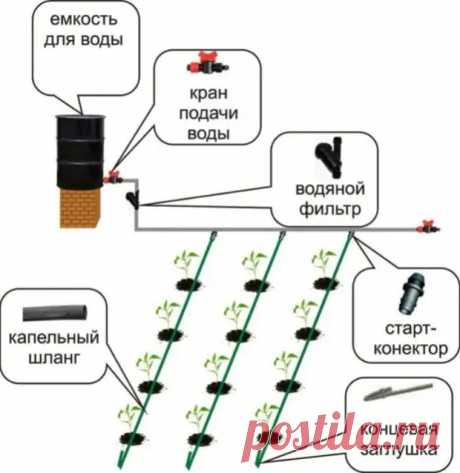 Инструкция по монтажу капельного полива в теплице своими руками - Наша дача - медиаплатформа МирТесен Капельный полив в теплице: как сделать своими руками
Как сделать капельный полив своими руками: инструкция + видео
Капельная лента своими руками — как выбрать и сделать
Полив огорода капельным путем своими руками | Сделай всё сам
Капельные системы полива своими руками - инструкция и схема
Капельное орошение своими руками для теплицы: пошаговая инструкция
Как самому сделать капельную ленту для …