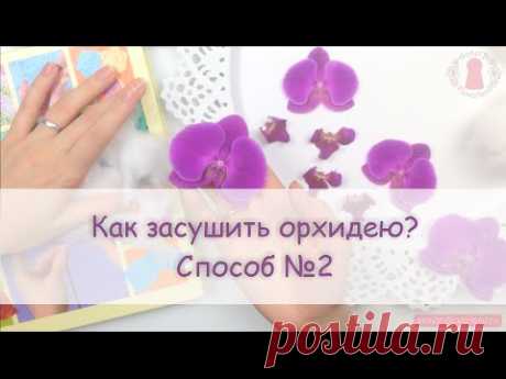 ЮВЕЛИРНАЯ СМОЛА || Как засушить орхидею? Watching Orchids Dry