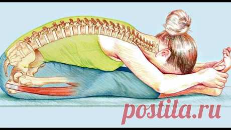 Сидя на полу растянем заднюю поверхность спины - поможем лицу и спине | Health & Beauty | Пульс Mail.ru