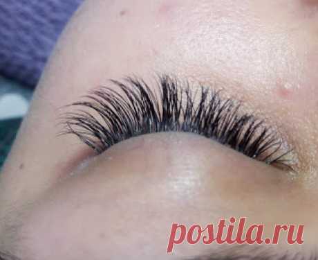 Lashmaker: Features eyelash structure and developmental phase