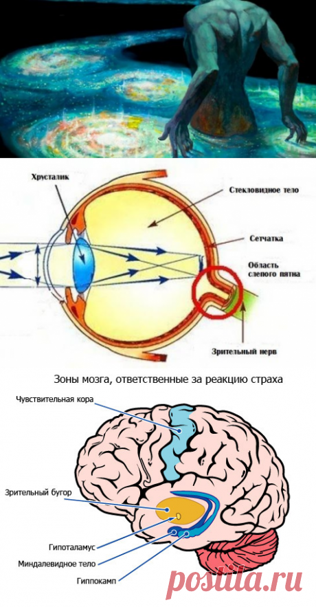 Во всем виноват Квантовый Переход