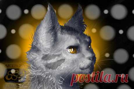 Grey-Orange Cat. Trade by Romashik-arts on DeviantArt