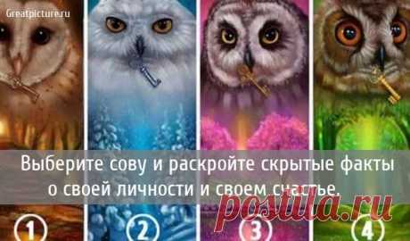 Выберите сову и раскройте скрытые факты о своей личности Выберите сову и раскройте скрытые факты о своей личности и своем счастье. Совы, которые мы показываем на картинке, могут иметь скрытое