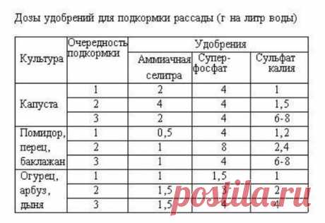 15 самых серьезных ошибок при выращивании рассады