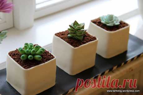 How to Make Potted Gumpaste Succulents - Tutorial - Cake Central