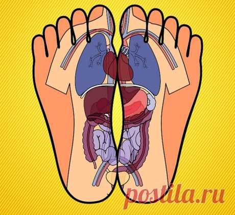 Каждый палец сопряжен с двумя органами: японский метод излечит за 5 минут любую хворь!