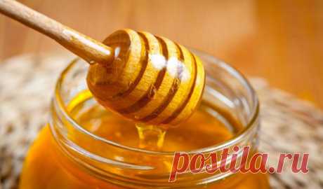 Ежедневное употребление меда — Делимся советами