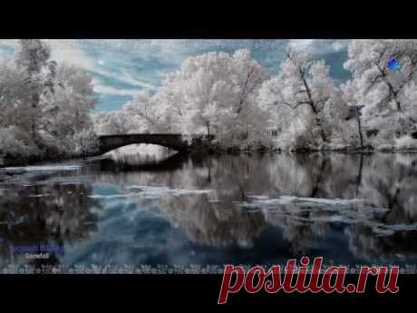 GIOVANNI MARRADI - Snowfall - YouTube