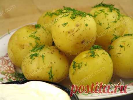 Молодой картофель в сметане рецепт с фото | Кашевар