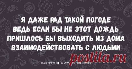 10 смешнейших стишков-пирожков для срочного поднятия настроения! • Фактрум