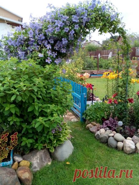 Как сделать малоуходный цветущий сад? Мой ответ - никак | Цветочная няша | Яндекс Дзен