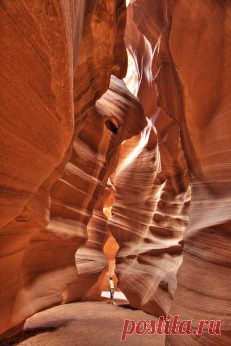 Каньон Антилопы (Antelope Canyon) Пейдж, Аризона, США

Каньон Антилопы, или щелевым каньон (Antelope Canyon) - удивительное творение природы, представляющее собой причудливые песчаные скалы с гигантскими щелями, освещёнными восхитительным магическим светом. Каньон расположен на севере Аризоны (юго-запад США) между городом Пэйдж (Page) и большой угольной электростанцией в 240 км от Великого Колорадского Каньона. Он лежит на землях племени Навахо и принадлежит индейцам этого племени.