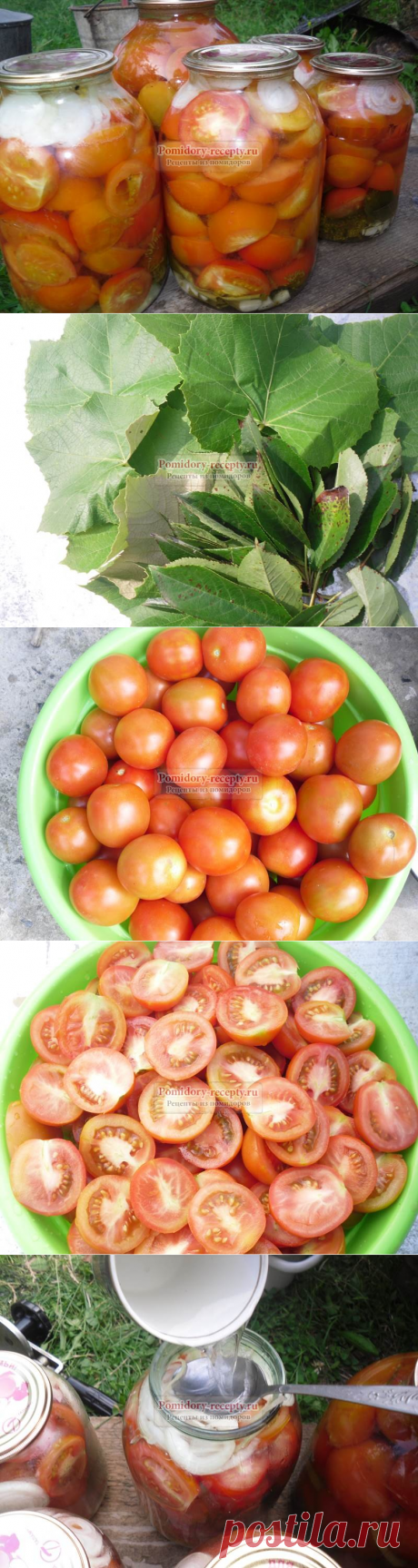 Консервирование помидор по-грузински: пошаговый рецепт с фото