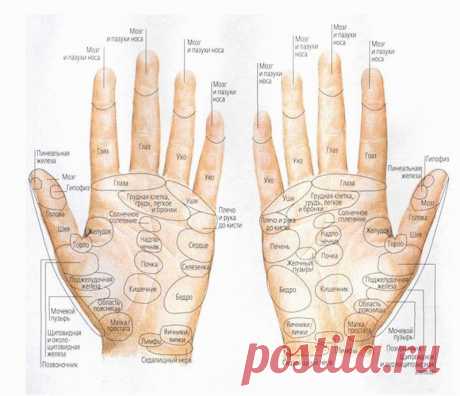 (+1) Лечебная сила точек на руках: простые приёмы самопощи