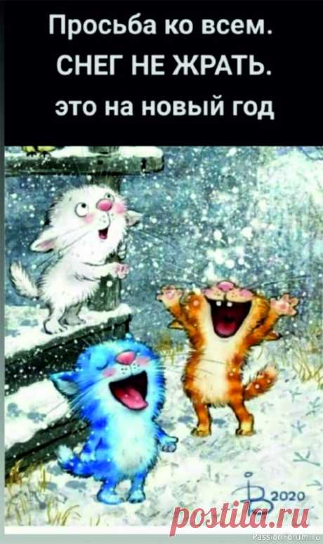 "Под голубыми небесами..." (Удивительное вокруг нас) | Разговоры на любые темы