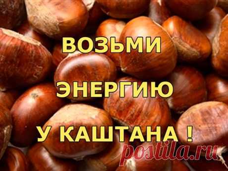 Диета "-1кг в день"

7 часов утра- зеленый чай без сахара
9 часов- варёное яйцо
11 часов- 1 ст. ложка распаренного изюма
13 часов- 100 гр. варёного мяса (в идеале- курица, говядина)
15 часов- 1 стакан томатного сока
17 часов- яйцо
19 часов- яблоко
21 час- 1 стакан молока (в идеале- кефир)

Особенности:
- По возможности есть всё без соли
- Ни в коем случае не менять продукты, не пропускать приём пищи!
- Кушать СТРОГО по часам!
- Воды пить сколько влезет, обязательно по стак...