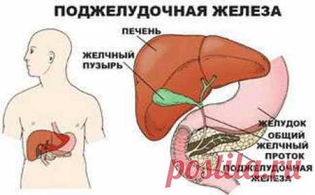 Очищаем поджелудочную железу.