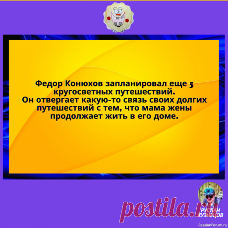 Мы все хотим, когда нельзя… И можем всё, когда уже не надо… | Юмор