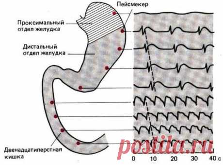 Можно ли запивать еду