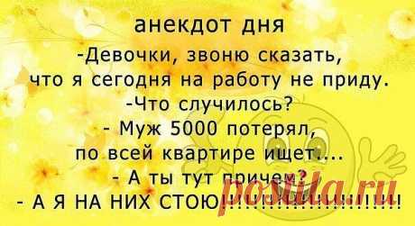 Анекдоты дня