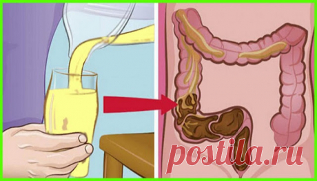Как очистить кишечник от всех отходов, похудеть и оздоровиться? ~ Шкатулка рецептов