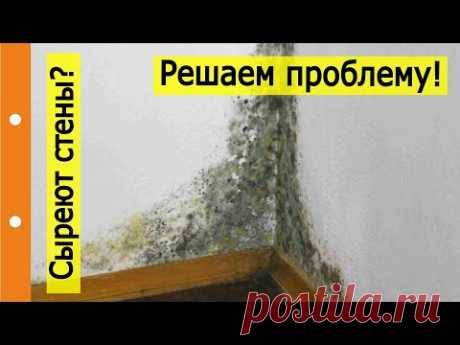 Сыреет низ стены? Решаем проблему...