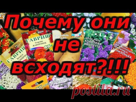 ПОЧЕМУ НЕ ВСХОДЯТ СЕМЕНА -10 ГЛАВНЫХ ПРИЧИН! - YouTube